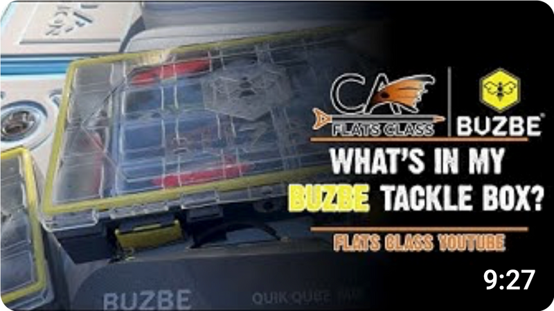 What's In My BUZBE Box?
