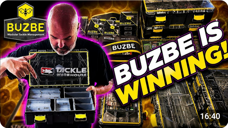 BUZBE is Winning
