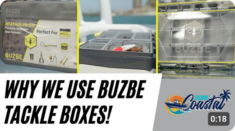 Why We Use BUZBE Boxes