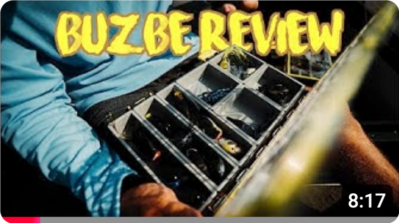 BUZBE Review