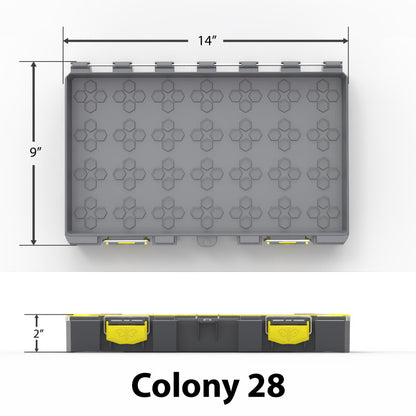 Soft Plastic/Top Water - Colony 28 Modular Tackle Box